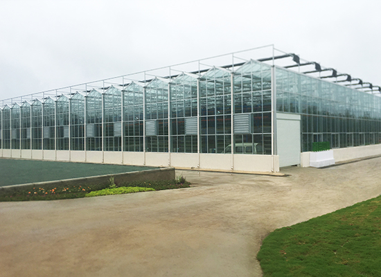 潢川縣優(yōu)質糯稻現(xiàn)代農(nóng)業(yè)產(chǎn)業(yè)園EPC項目