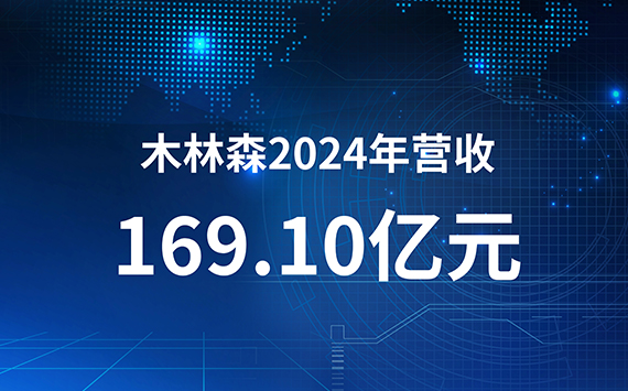 木林森發(fā)布2024年度報告
